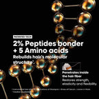 L'Oreal Professionnel Absolut Repair Molecular Hair Shampoo, Serum & Leave-In Mask